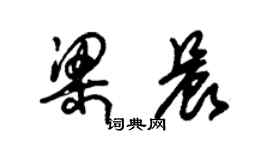 朱錫榮梁晨草書個性簽名怎么寫