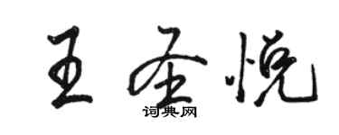 駱恆光王聖悅行書個性簽名怎么寫