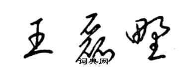 梁錦英王磊野草書個性簽名怎么寫
