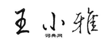 駱恆光王小雅行書個性簽名怎么寫