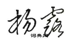 駱恆光楊露草書個性簽名怎么寫