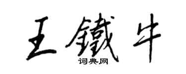 王正良王鐵牛行書個性簽名怎么寫