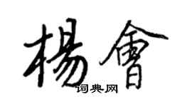 王正良楊會行書個性簽名怎么寫