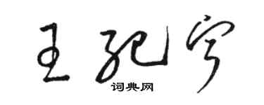 駱恆光王紀寧草書個性簽名怎么寫