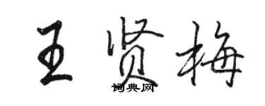 駱恆光王賢梅行書個性簽名怎么寫