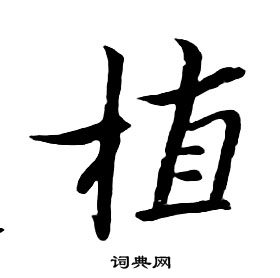 朱耷千字文中植的寫法