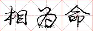龐中華相為命行書怎么寫