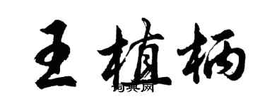 胡問遂王植柄行書個性簽名怎么寫