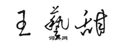 駱恆光王藝甜草書個性簽名怎么寫