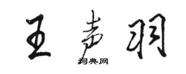 駱恆光王聲羽行書個性簽名怎么寫