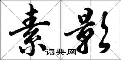 胡問遂素影行書怎么寫