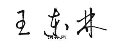 駱恆光王東林草書個性簽名怎么寫