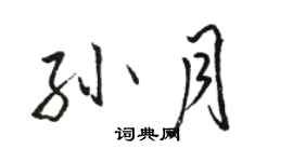 駱恆光孫月行書個性簽名怎么寫