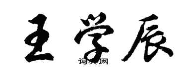 胡問遂王學辰行書個性簽名怎么寫