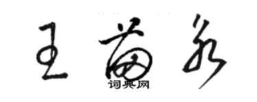 駱恆光王苗永草書個性簽名怎么寫