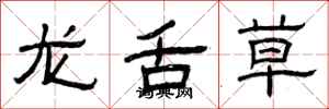 曾慶福龍舌草隸書怎么寫