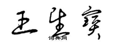 曾慶福王望寶草書個性簽名怎么寫