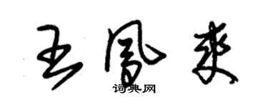 朱錫榮王鳳爽草書個性簽名怎么寫