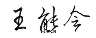 駱恆光王能會行書個性簽名怎么寫