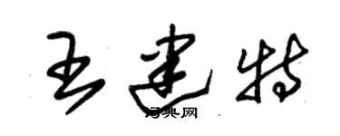 朱錫榮王建特草書個性簽名怎么寫