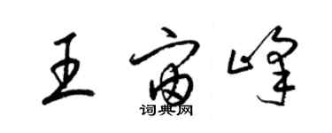 梁錦英王宙峰草書個性簽名怎么寫