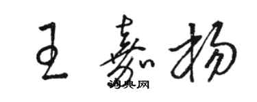 駱恆光王嘉楊草書個性簽名怎么寫