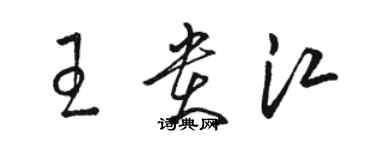 駱恆光王貴江草書個性簽名怎么寫