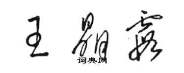 駱恆光王晶霞草書個性簽名怎么寫