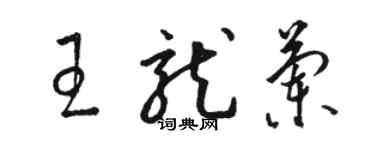 駱恆光王龍蘭草書個性簽名怎么寫