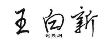 駱恆光王白新行書個性簽名怎么寫