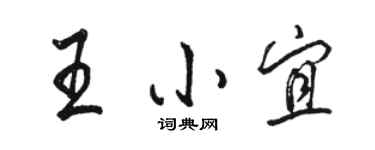駱恆光王小宜行書個性簽名怎么寫
