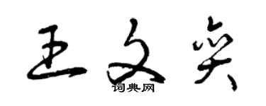 曾慶福王文奕草書個性簽名怎么寫