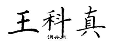 丁謙王科真楷書個性簽名怎么寫