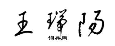 梁錦英王瑞陽草書個性簽名怎么寫