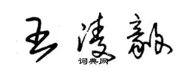 朱錫榮王凌毅草書個性簽名怎么寫