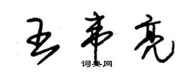 朱錫榮王韋亮草書個性簽名怎么寫