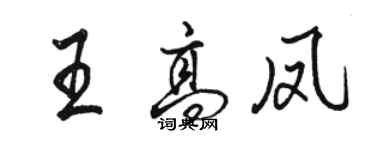 駱恆光王高鳳行書個性簽名怎么寫