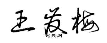 曾慶福王發梅草書個性簽名怎么寫