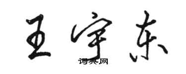 駱恆光王宇東行書個性簽名怎么寫