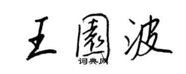 王正良王園波行書個性簽名怎么寫