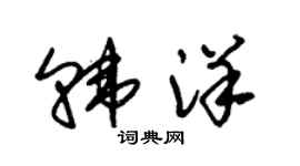 朱錫榮韓洋草書個性簽名怎么寫