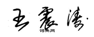 朱錫榮王震濤草書個性簽名怎么寫