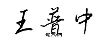王正良王普中行書個性簽名怎么寫