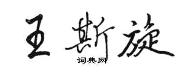 駱恆光王斯旋行書個性簽名怎么寫