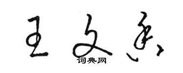 駱恆光王文香草書個性簽名怎么寫