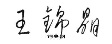 駱恆光王錦晶草書個性簽名怎么寫