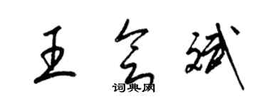 梁錦英王會斌草書個性簽名怎么寫