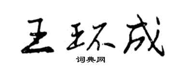 曾慶福王環成行書個性簽名怎么寫