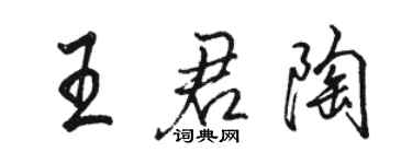 駱恆光王君陶行書個性簽名怎么寫