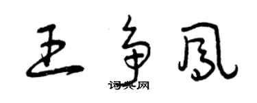 曾慶福王爭鳳草書個性簽名怎么寫